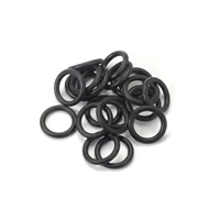 Thermo Scientific O-ring for 50mL tube (pack of 20) 23.5 x 3.55mm 0.93 x 0.14 in. Cat. 88881011