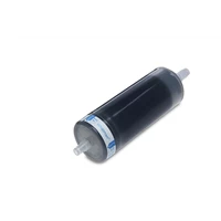 Whatman Carbon Cap Capsule Filters with Activated Carbon
