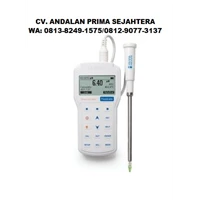 HANNA HI98165 Professional Portable Cheese pH Meter
